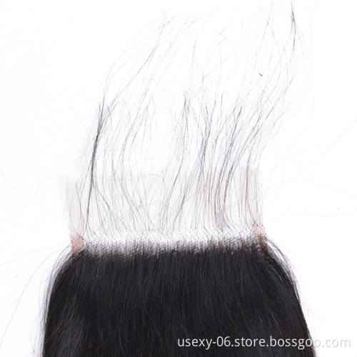 The Best Hair Vendors Burma Raw Mink 100% Human Hair HD Lace Closure Straight
